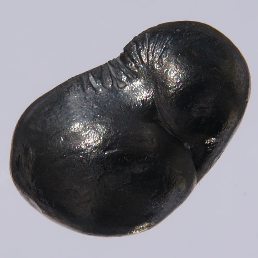 Beryllium